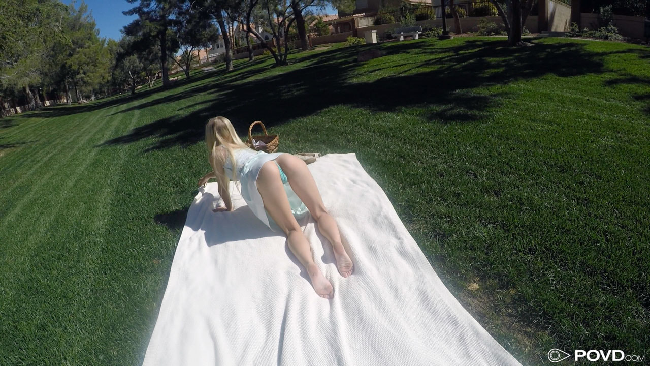 Picnic in the Park