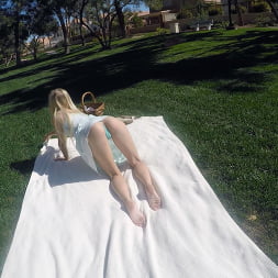 Picnic in the Park